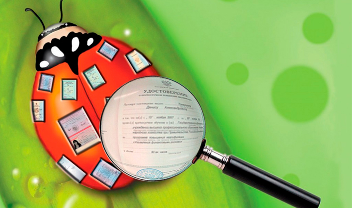 Без бумажки ты — букашка или Какова она — “идеальная” госуслуга